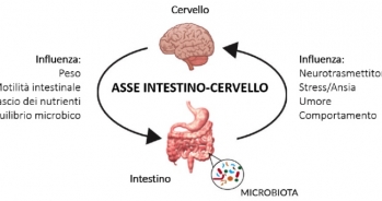 Intestino e depressione: un binomio spesso trascurato